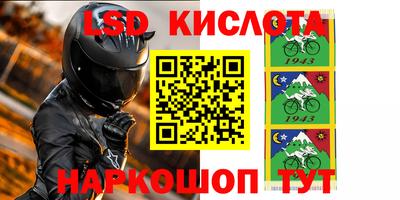 прущие грибы Апшеронск