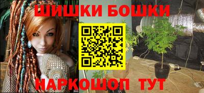прущие грибы Апшеронск