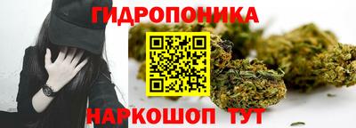 прущие грибы Апшеронск