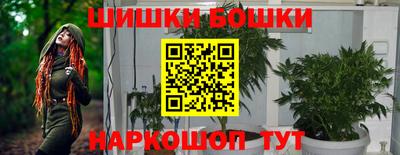 прущие грибы Апшеронск