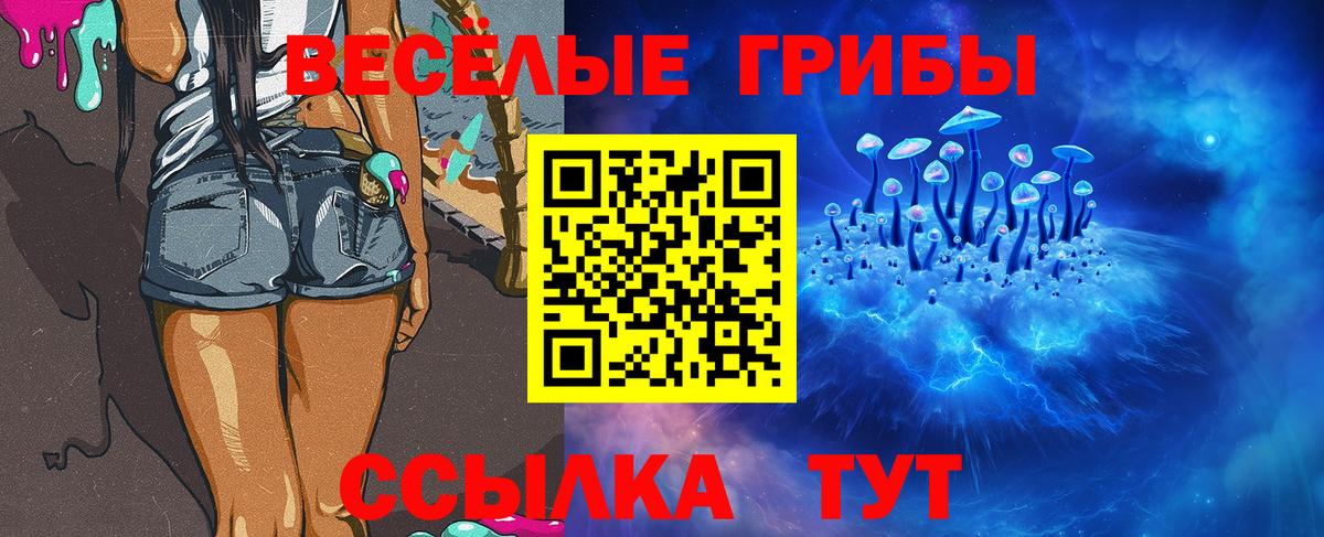 Псилоцибиновые грибы Psilocybine cubensis  Псилоцибиновые грибы GOLDEN TEACHER  где можно купить   Вход с VPN  Астрахань 